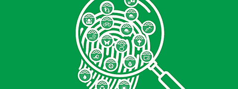 (Ilustração) Lupa por cima de impressão digital com círculos brancos com ícones de fruto, animal, bicicleta, sol, gota, etc. em fundo verde